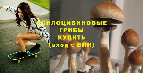 гашиш Осташков