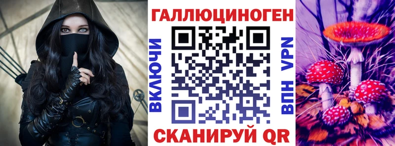 Галлюциногенные грибы Psilocybe  Купить  Красково 